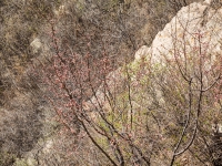 Filename=P4020211.jpg
Filesize=589KiB
Dimensions=853x640
Date added=May 01, 2018 P4020211.jpg