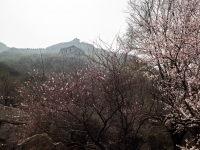 Filename=P4020237.jpg
Filesize=357KiB
Dimensions=853x640
Date added=May 01, 2018 P4020237.jpg