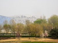 Filename=P4020243.jpg
Filesize=256KiB
Dimensions=853x640
Date added=May 01, 2018 P4020243.jpg