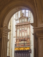 Filename=PA050484.jpg
Filesize=188KiB
Dimensions=480x640
Date added=Oct 29, 2017 PA050484.jpg