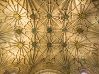 PA111295.jpg