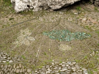 E4154649.jpg