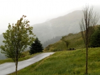 E8256486.jpg