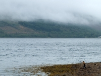 E8256498.jpg