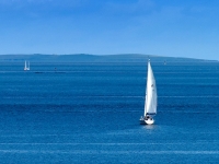 E8286644.jpg