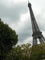 E9016901.jpg