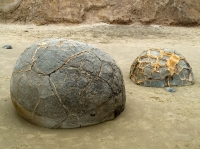 EB109758.jpg