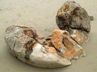 EB109761.jpg
