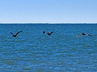 E2291477.jpg