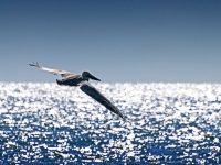 E2291562.jpg