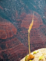 E5292756.jpg