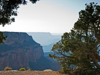 E5292779.jpg