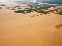 E1168418.jpg