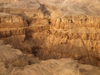 E1168420.jpg