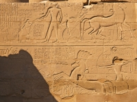 E1198753.jpg