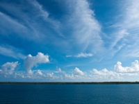 _R233978.jpg