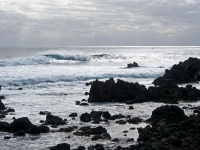 _R284067.jpg