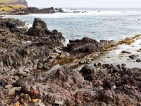 _R284068.jpg