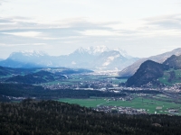 _4140941.jpg