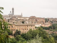 PA050261.jpg